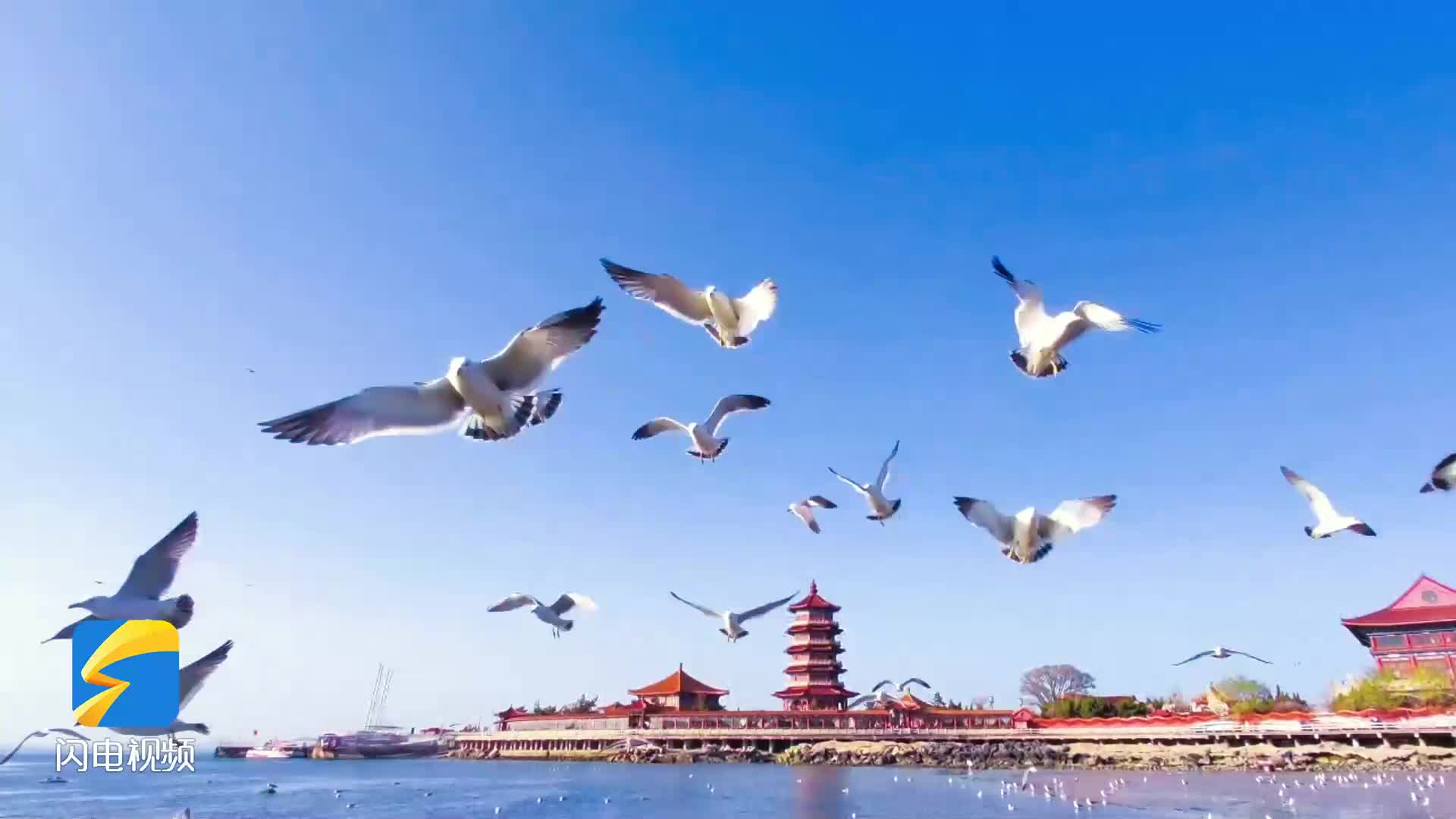 八仙渡海口风景区门票图片