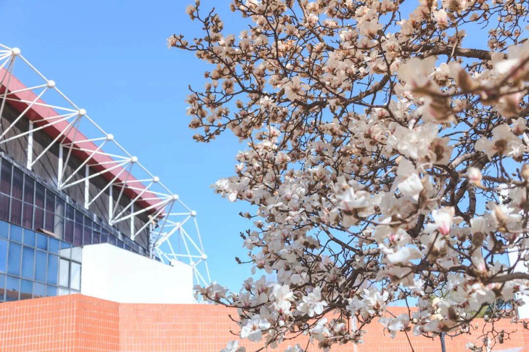 北京体育大学2023年秋季公开招聘公告