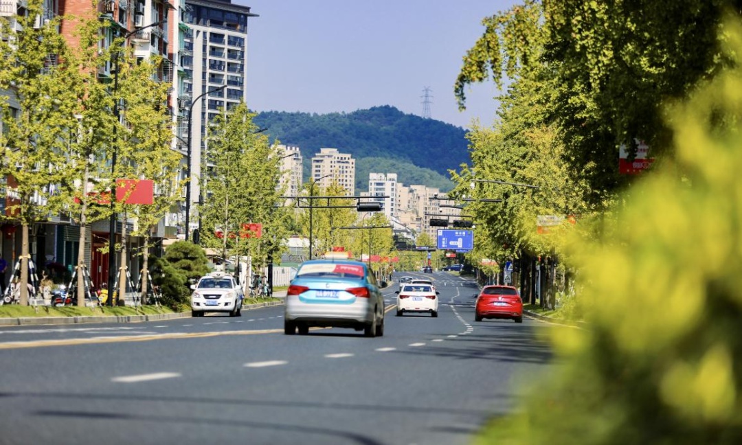 就在家门口!临安这条道路获评2021年度浙江省街容示范街!