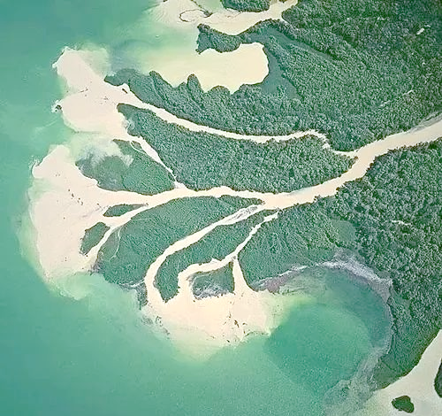 三角洲沉积特征及储层潜力:地质学新探索