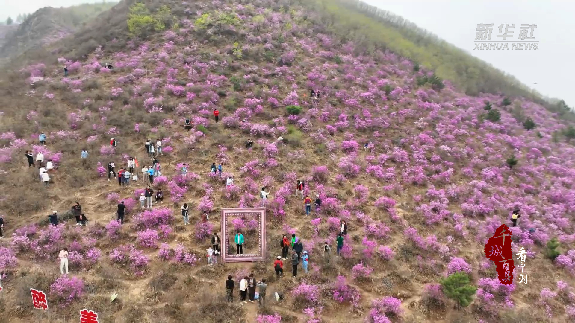 丰宁南关映山红景区图片