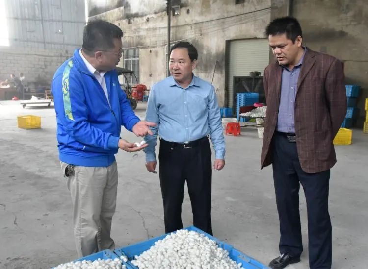 吴兴慧调研企业发展和项目建设情况