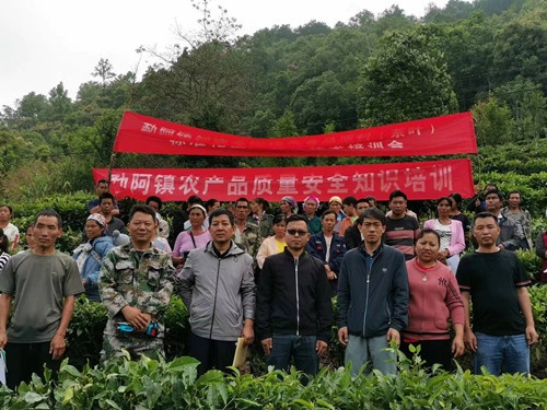 勐阿镇举办创建全国绿色食品原料标准化生产基地现场技术培训会