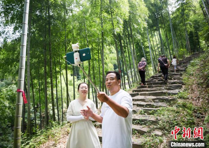 竹海漪漪新风起:浙江安吉竹产业如何"二次振兴"?