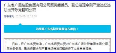 广东省广晟控股集团有限公司原党委委员,副总经理余刚严重违纪违法被