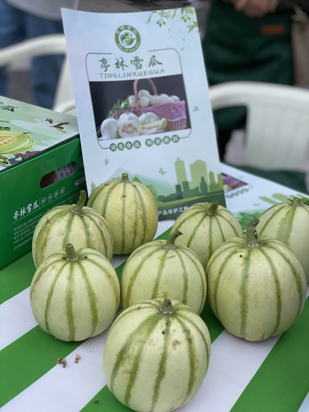 不再"一瓜难求",上海亭林雪瓜种植规模扩大至5倍将销往市区