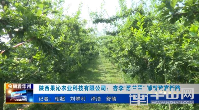 致富科技有限公司(致富科技有限公司招聘)