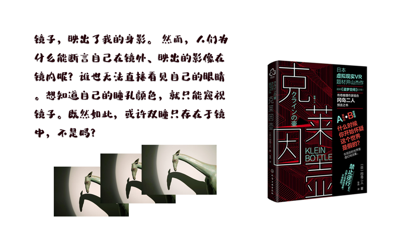 解析《克莱因壶》