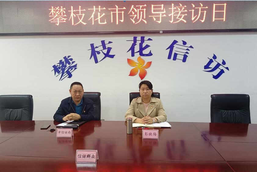 市委副书记彭映梅接待来访群众