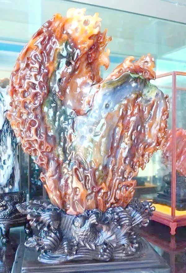 缅甸树化玉:从史前木头到现代宝石的惊人旅程