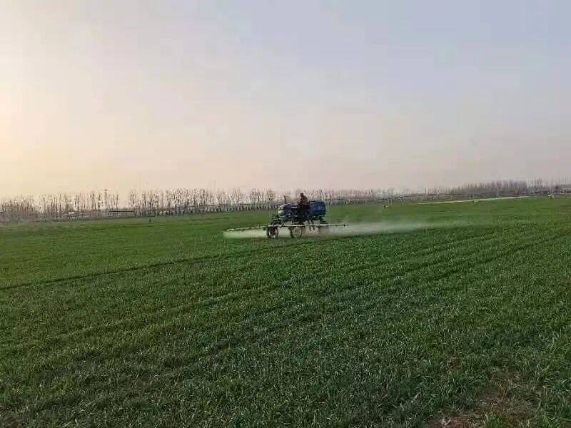 安丘市景芝镇大田托管激发乡村振兴"源头活水"