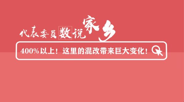 代表委员数说家乡丨400%以上!这里的混合所有制改革带来巨大变化!