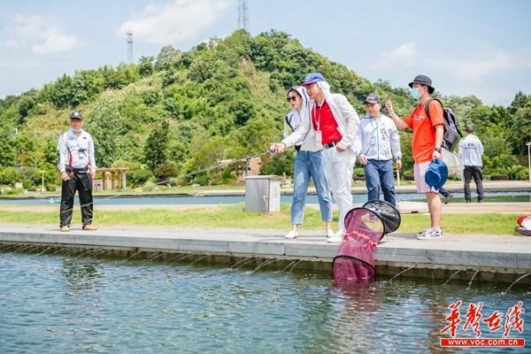 钓友竞钓浮标之乡 网红直播带货助力临湘产业发展