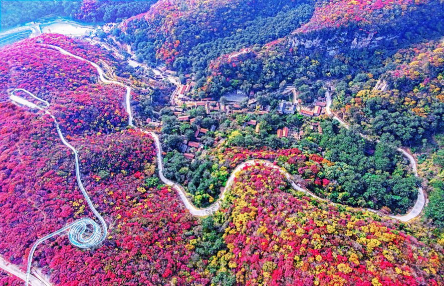 淄博红叶柿岩旅游区鸟瞰图   (景区供图)
