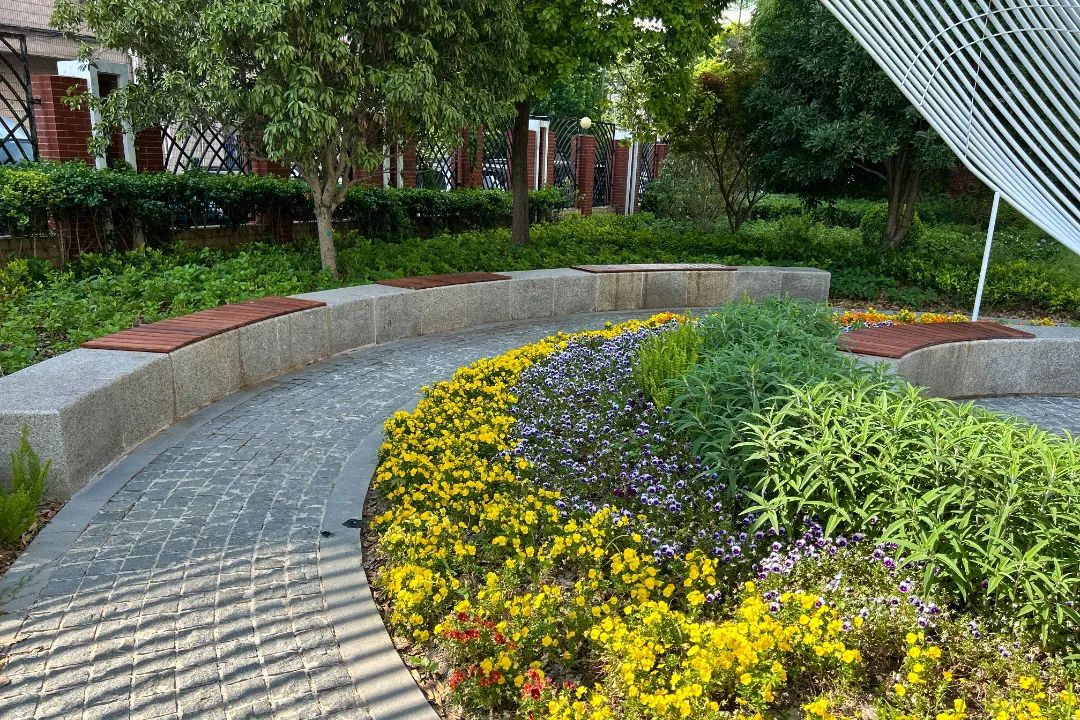 这些街头绿地"变身"!你看到了吗?