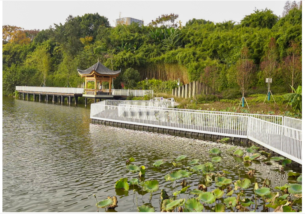 重庆渝北龙咀公园丨小众宝藏森系公园,适合徒步,露营建议收藏!