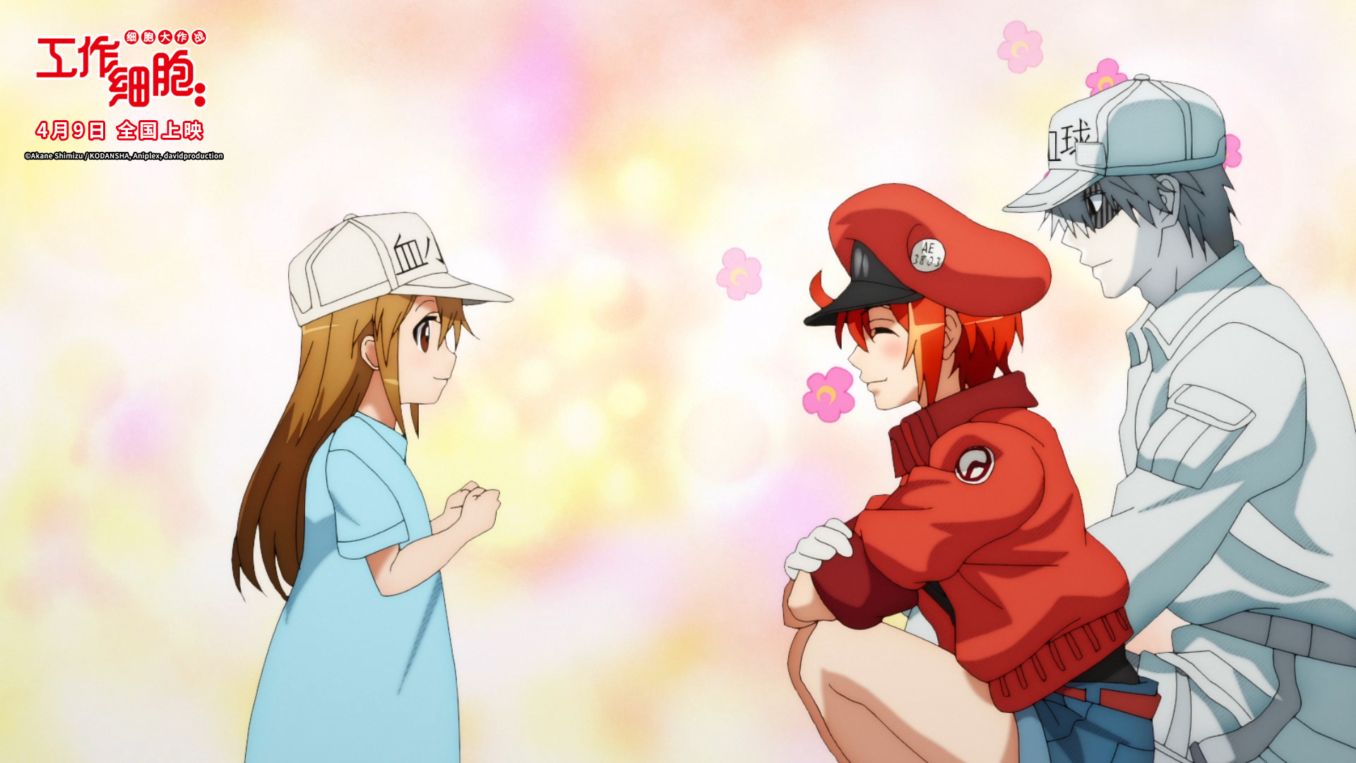 感谢37兆个萌细胞正为你的明天努力丨观影《工作细胞》