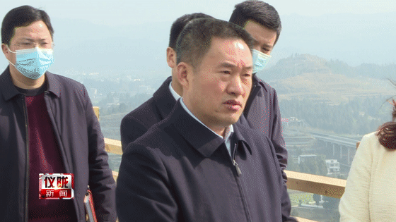 王善平来仪陇县调研乡村国土空间规划编制工作