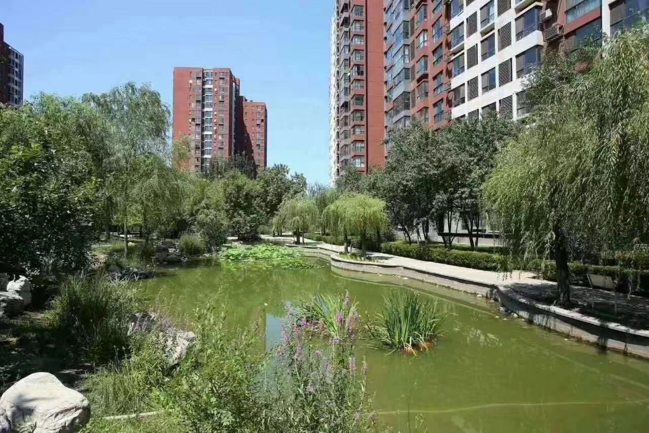 北京顺驰蓝调国际