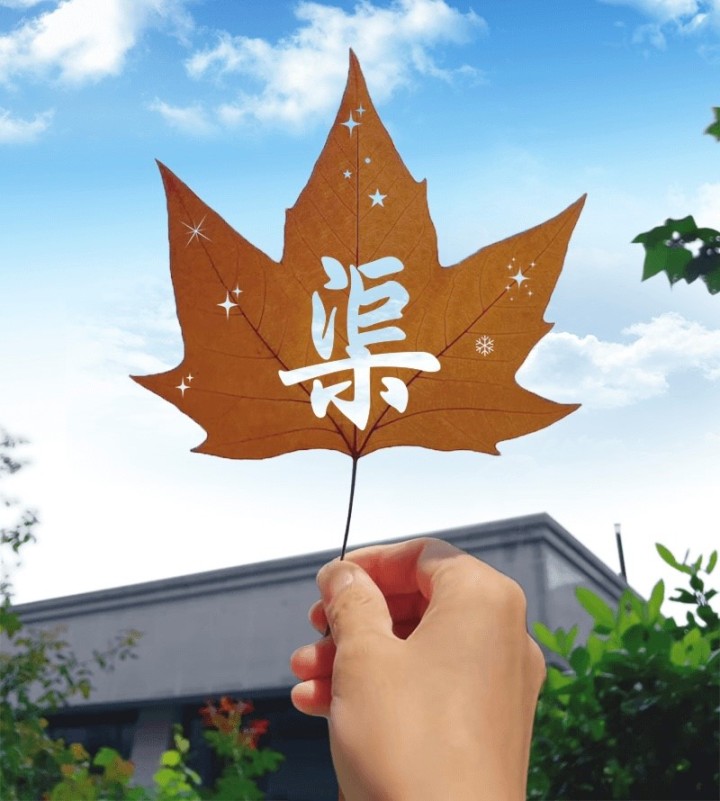 晚潮|我的渠姓我的光