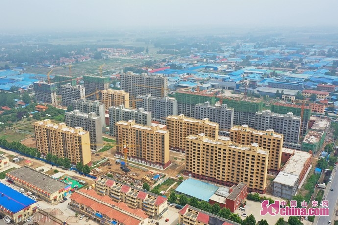 菏泽曹县庄寨镇板材厂