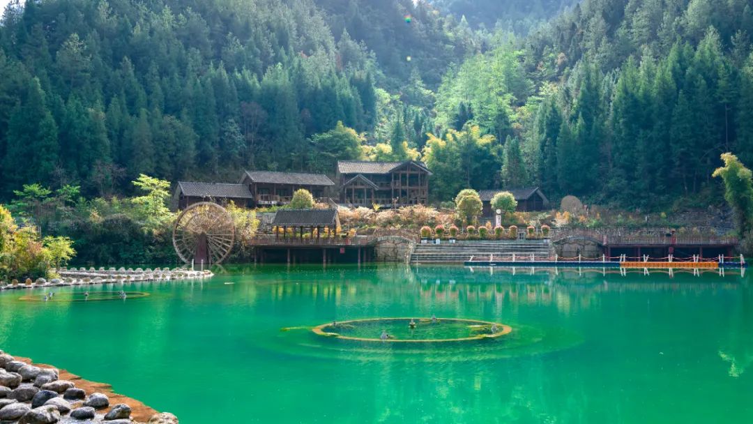 大象洞,桃溪谷,桃溪谷漂流,罗盘顶红豆杉栈道,风雨廊桥……酷爽指数