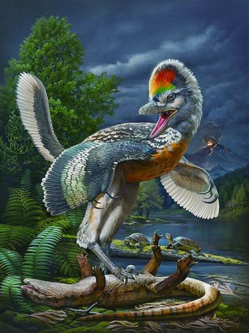 你的老家有龙么我老家可有啊