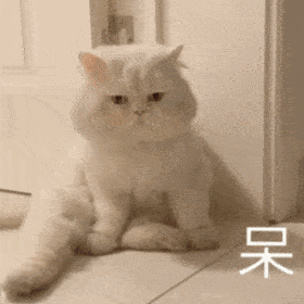 280_280gif 动态图 动图