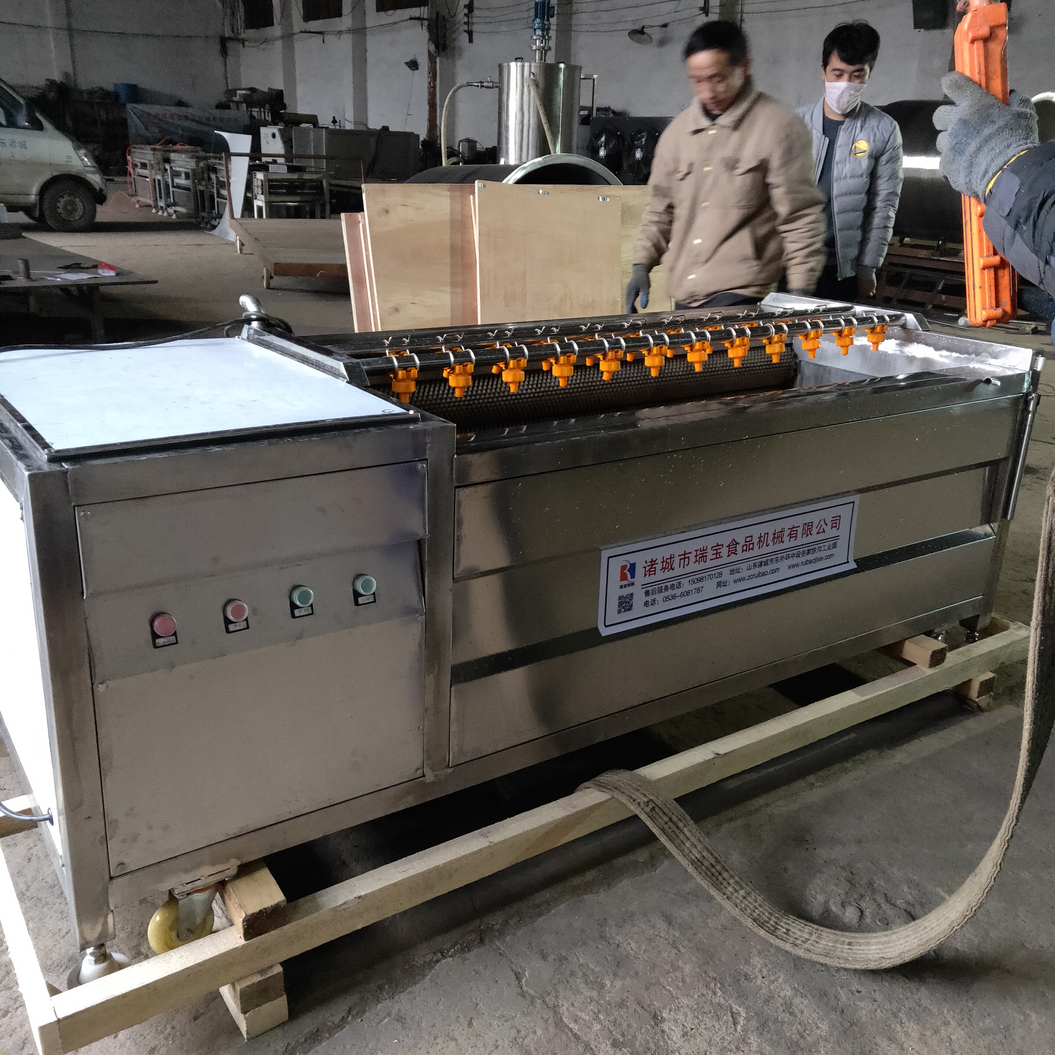 土豆去皮机 毛辊清洗机 毛刷洗姜去皮设备