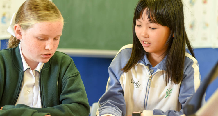 fbi open the door中文意思