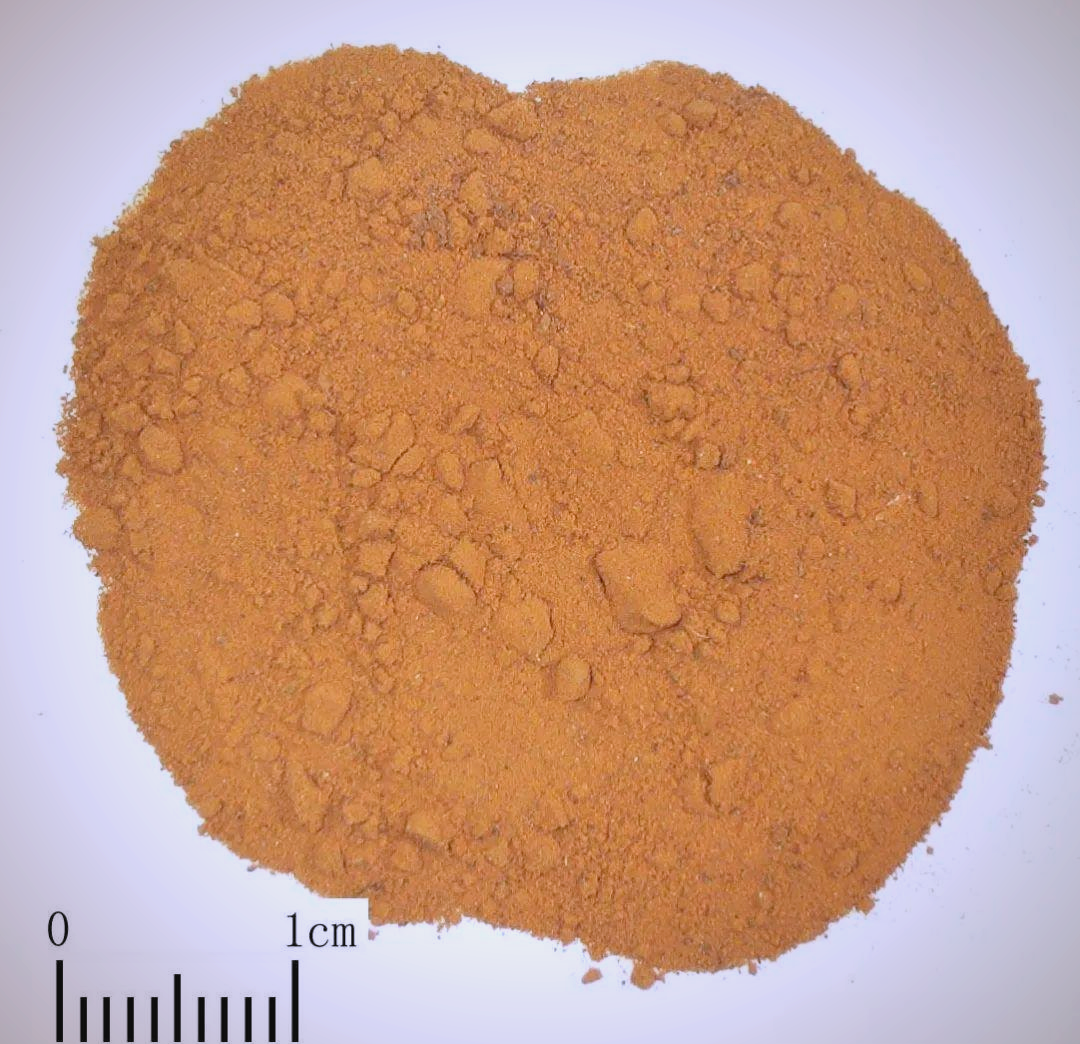 海金沙:一种具有多种功效的中药材