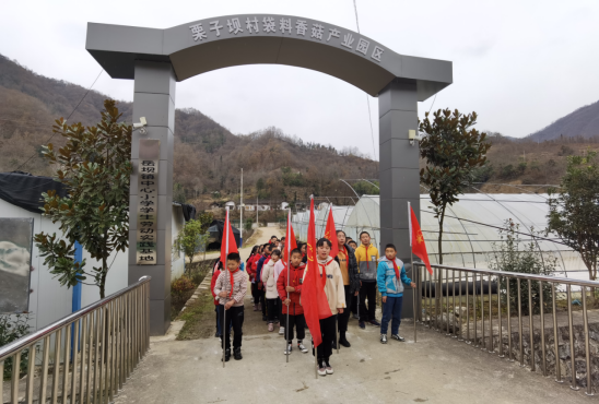 佛坪县岳坝镇中心小学积极开展劳动实践活动