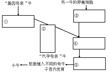 日牛的方法 步骤图片