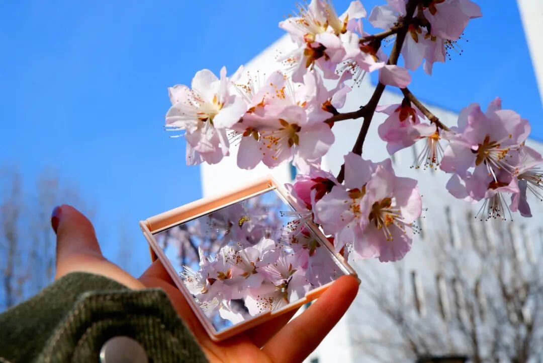 蔡西子摄 (7).jpg