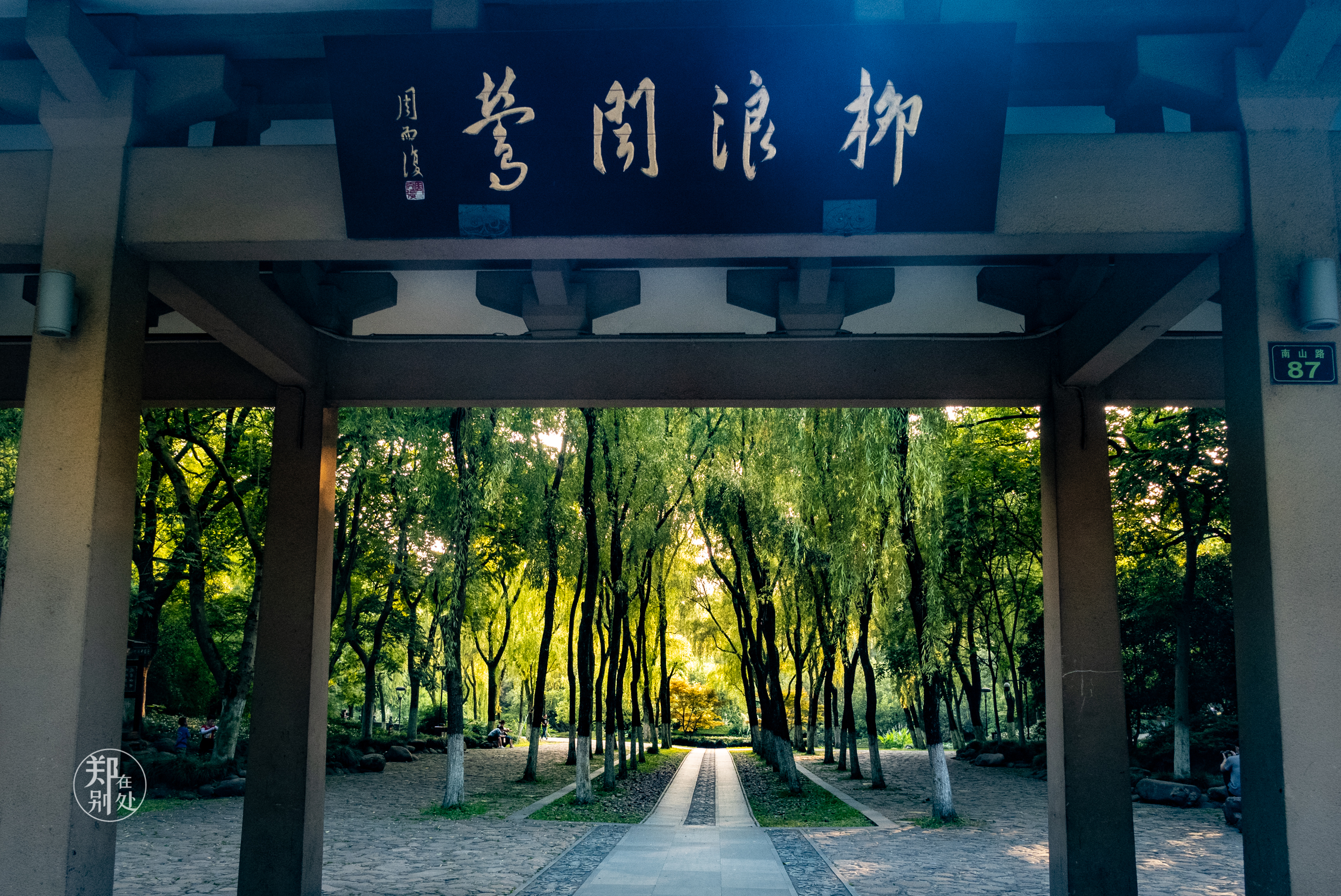 杭州小景:西湖边难得的野逸,居然在柳浪闻莺里