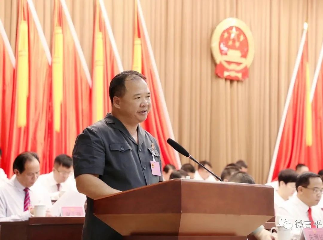 平果市人民法院院长谭勇作平果市人民法院工作报告