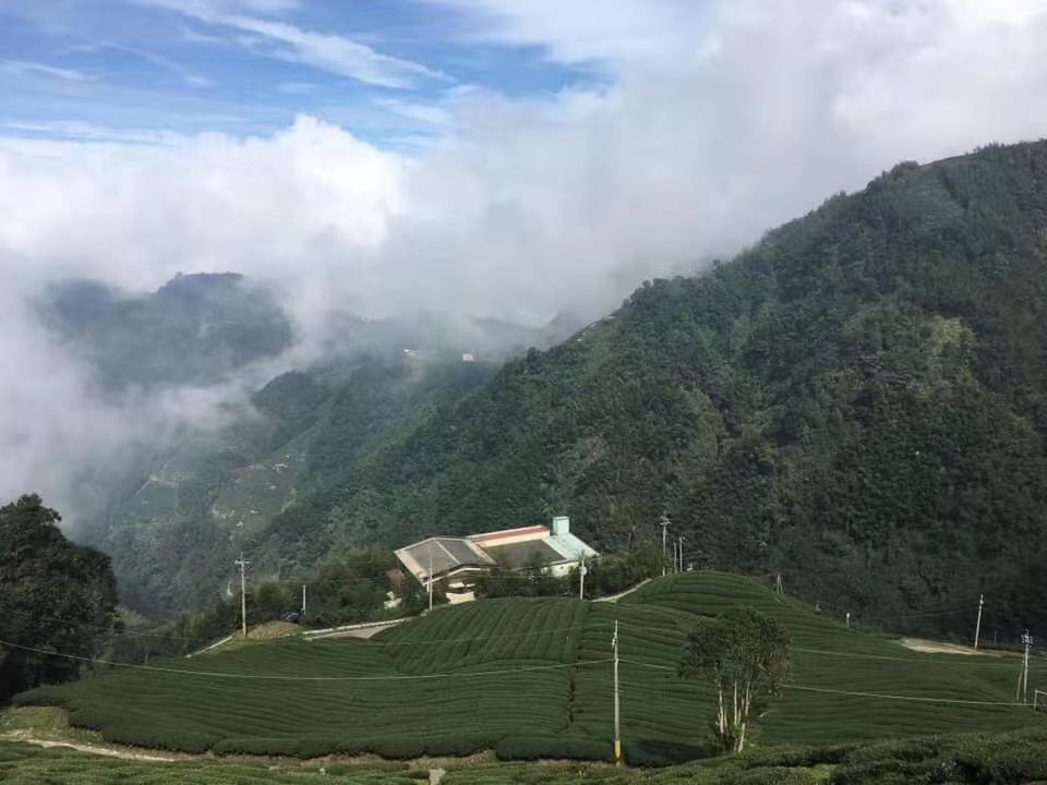 喝台湾茶的不一定懂杉林溪