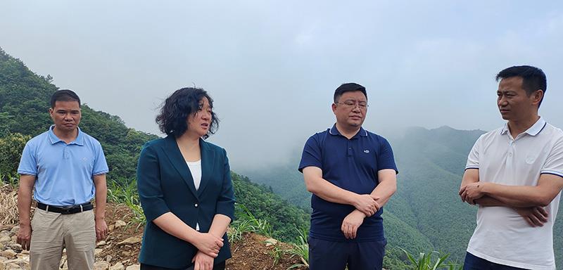 邓群调研风电项目建设情况