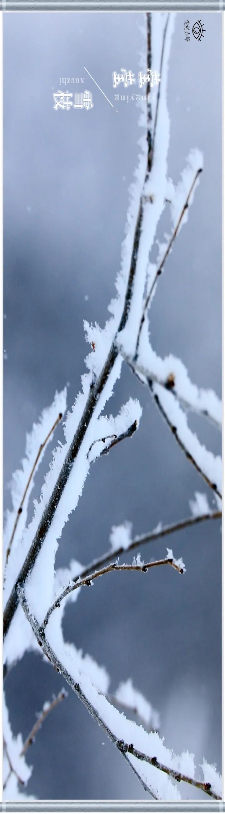 雪莹莹图片