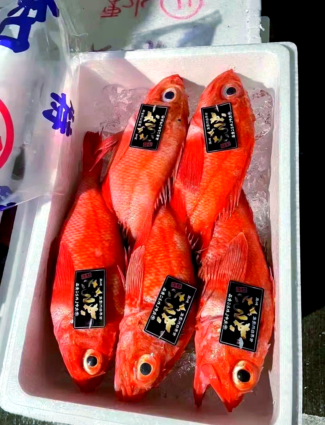 食用喜知次鱼能有效预防缺血性心脏病和脑血管障碍,这得益于其蕴含的