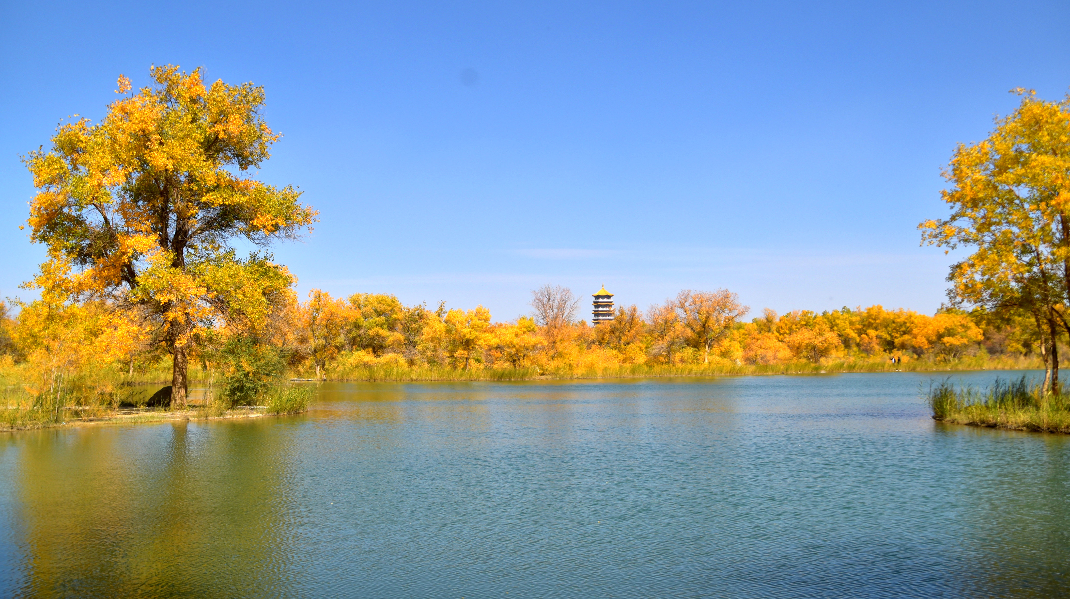 诗意中国——落霞与孤鹜齐飞,秋水共长天一色