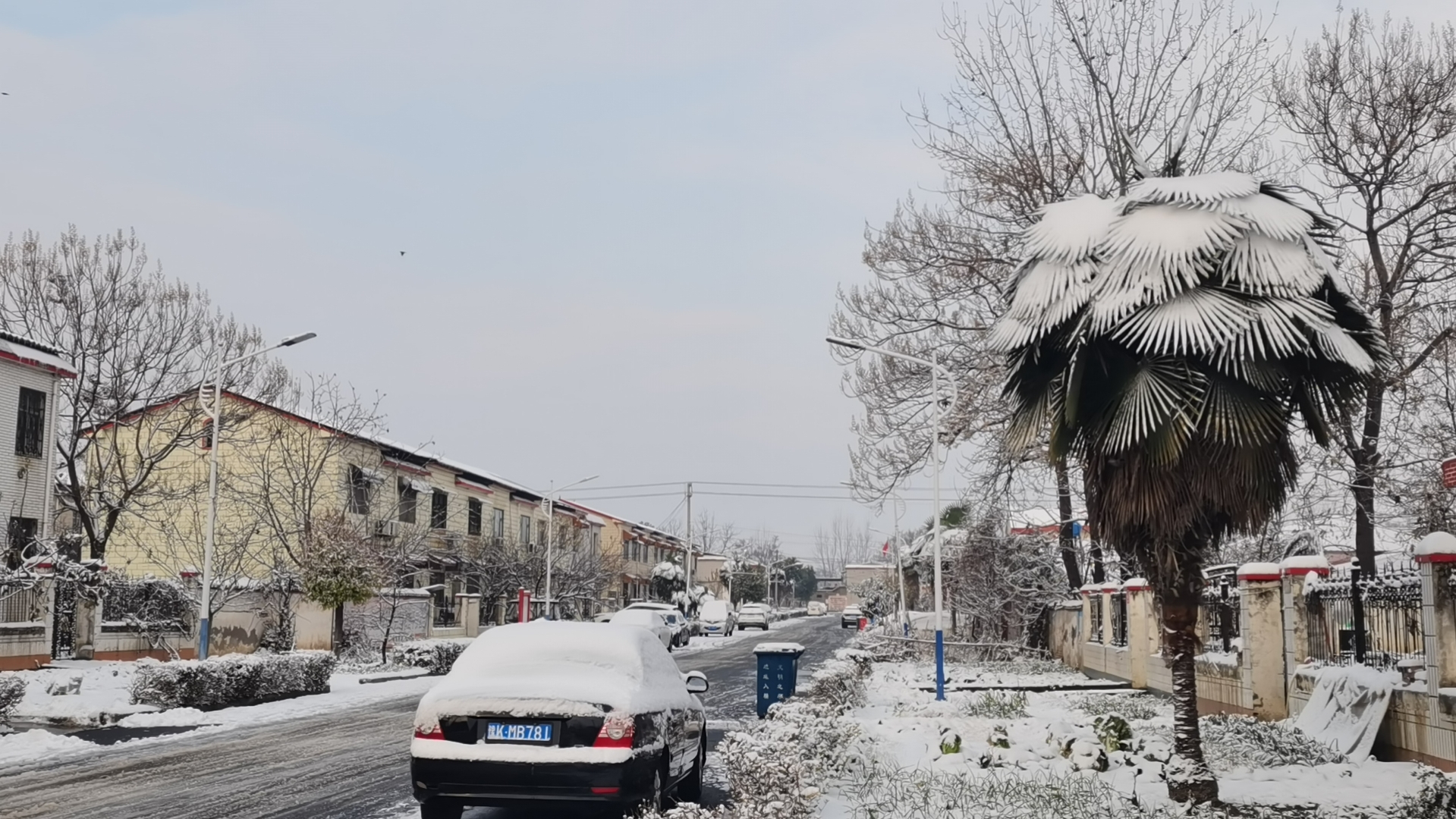 禹州市梁北镇:雪后美景如画