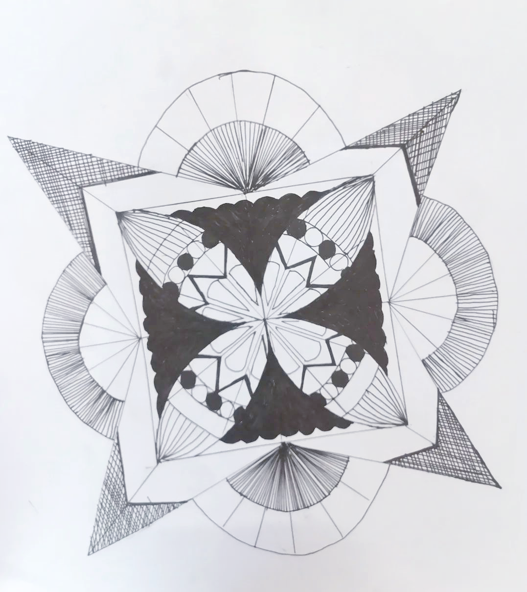 轴对称的和谐之美:数学与自然的交响