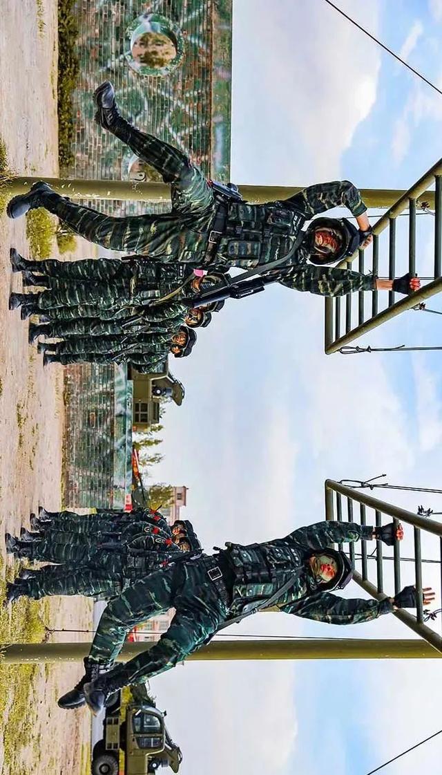 直击,虎斑迷彩最燃瞬间!