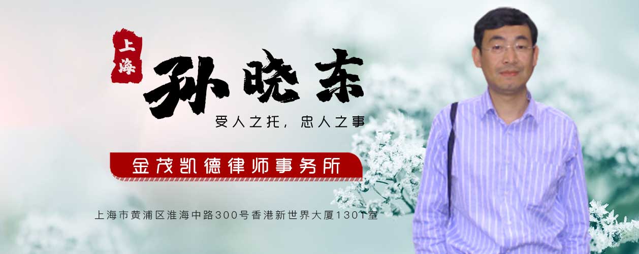 上海公司股权经济律师孙晓东