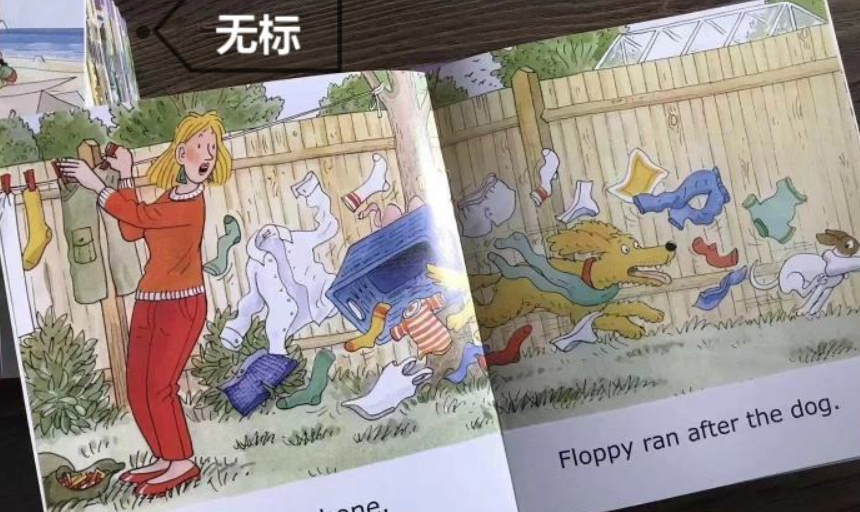 floppyran图片