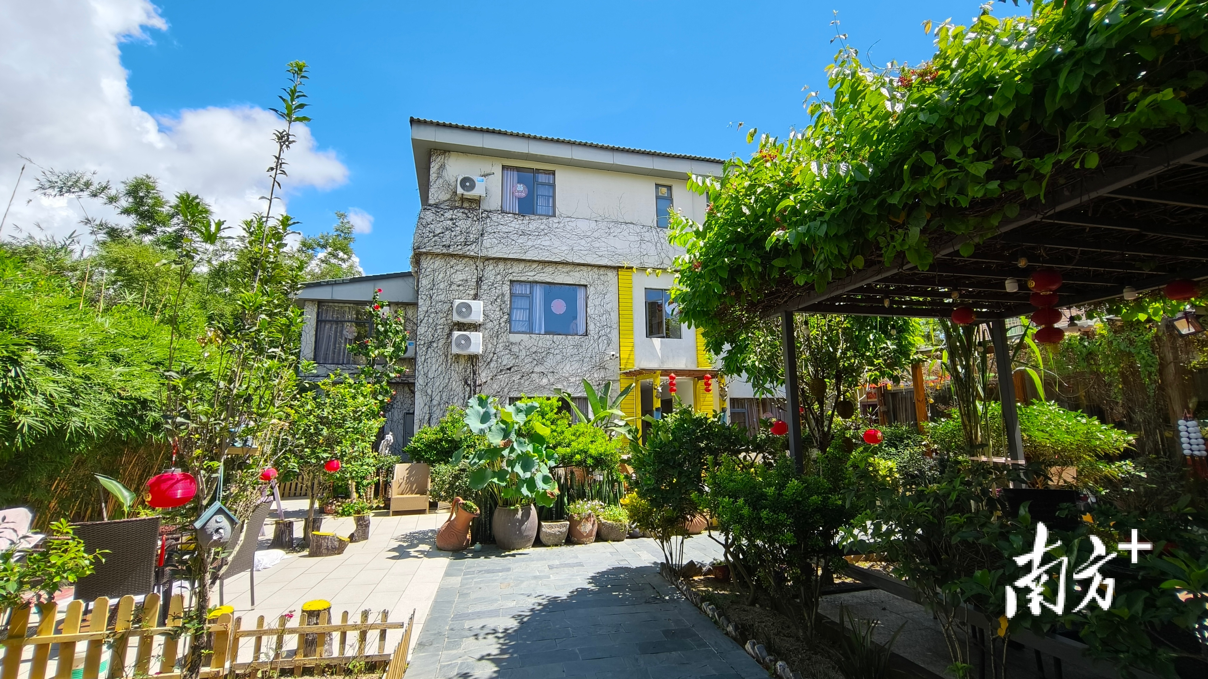 视频|"深漂"返乡,打造中山崖口村特色民宿