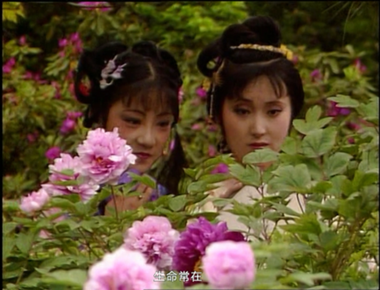 湘云醉卧花丛,成了红楼梦中的绝美画面