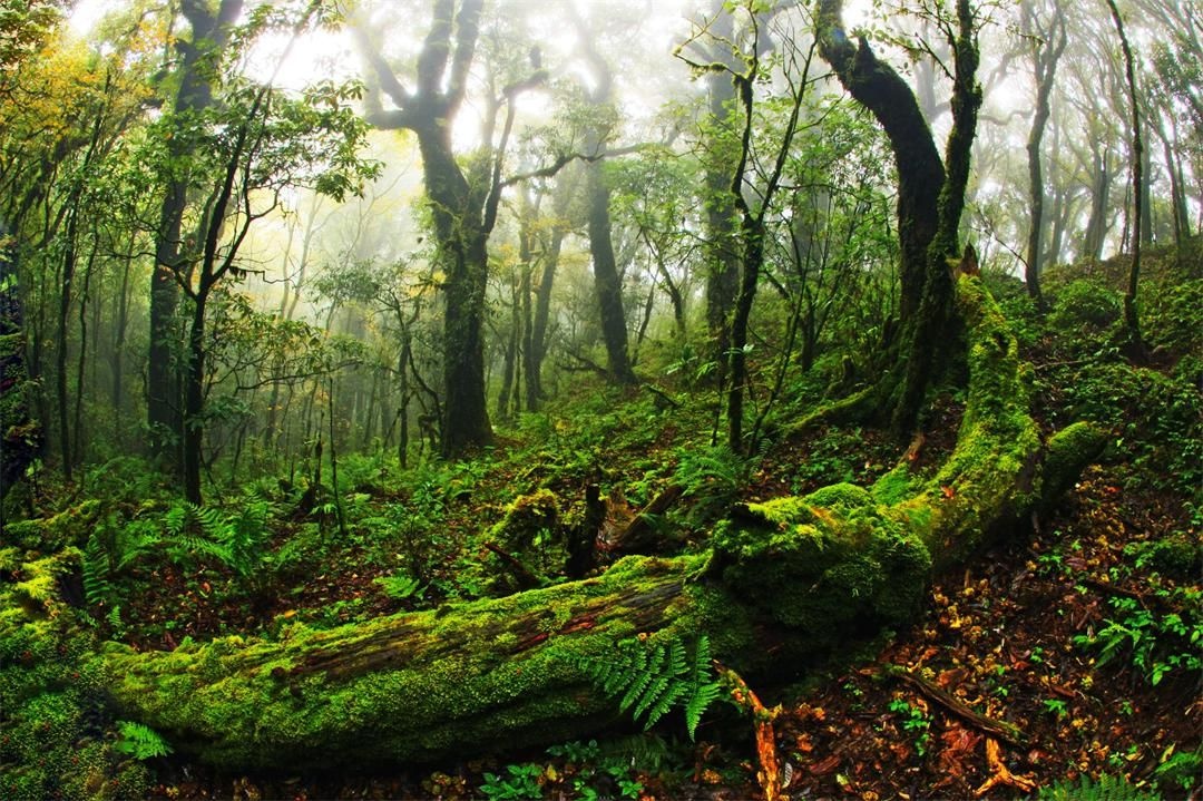 只此青綠!玉溪秀美山川描繪《千里江山圖》