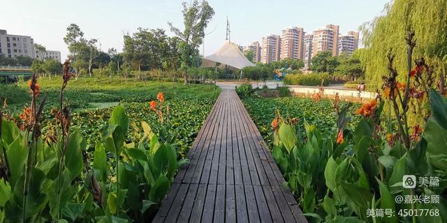 嘉兴麟湖生态湿地公园